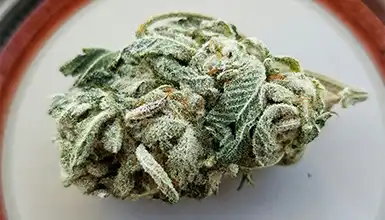 FrassBox-Ctgry-Flower